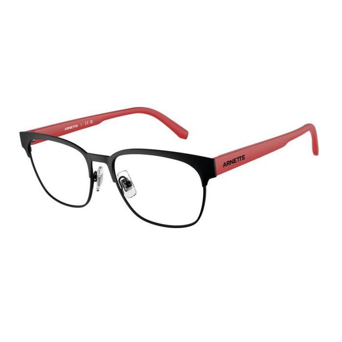 ARNETTE WATERLY AN6138 737
