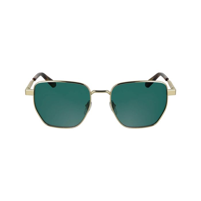 CALVIN KLEIN CK25100S 716