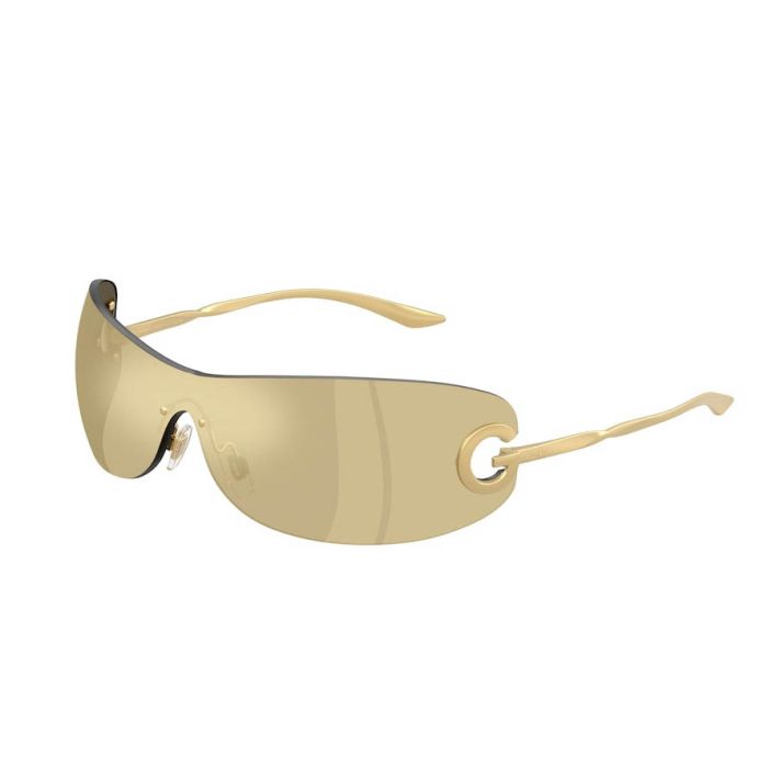 DOLCE&GABBANA DG2308 12246E