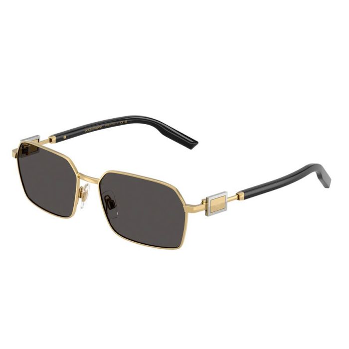 DOLCE&GABBANA DG2316 02/87 DOLCE&GABBANA DG2316 02/87