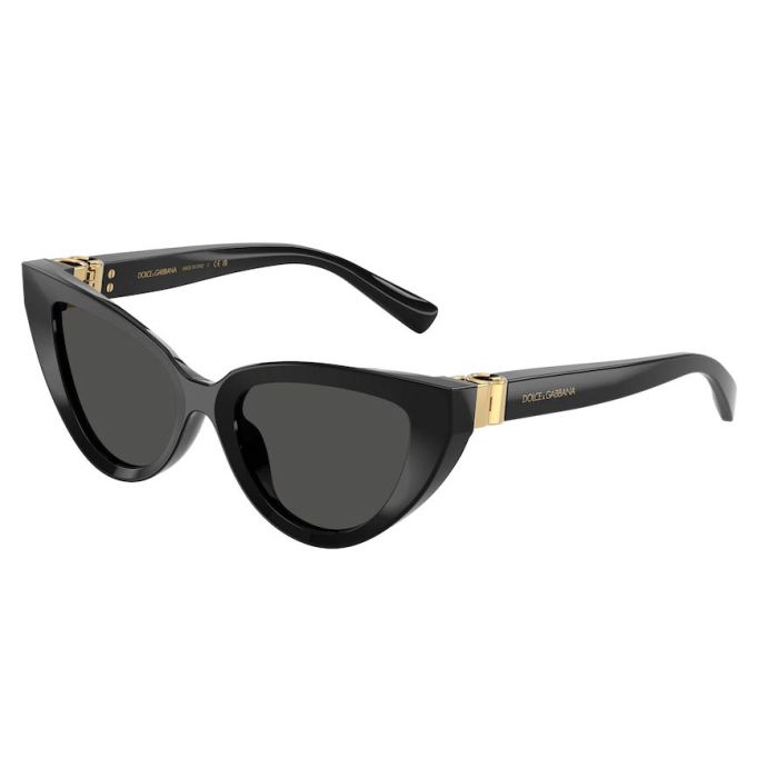 DOLCE&GABBANA DG4497 501/87