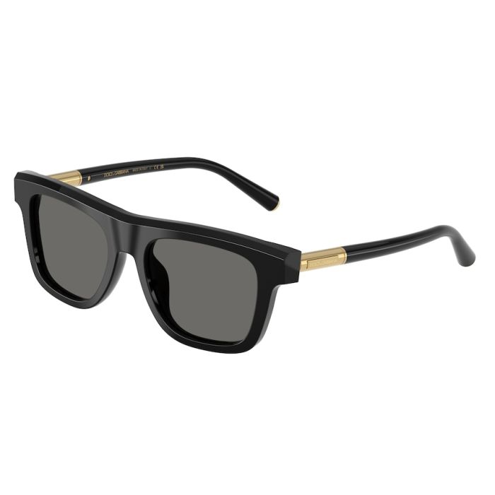 DOLCE&GABBANA DG4521 501/1