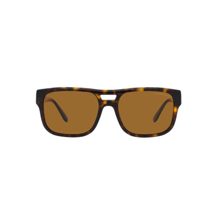 EMPORIO ARMANI EA4197 587983