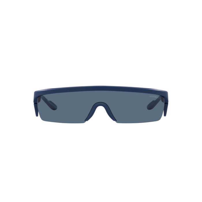 EMPORIO ARMANI EA4204U 601380