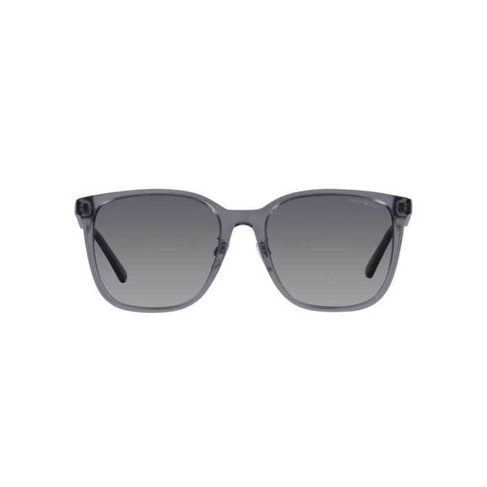 EMPORIO ARMANI EA4206D 5029T3