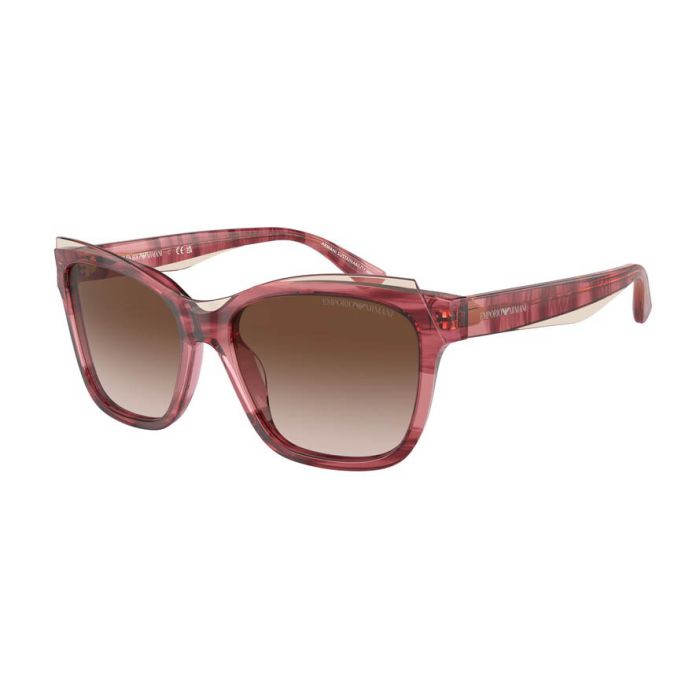 EMPORIO ARMANI EA4209 605713