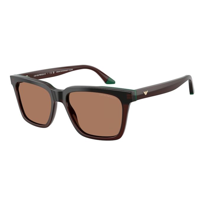 EMPORIO ARMANI EA4260 631573