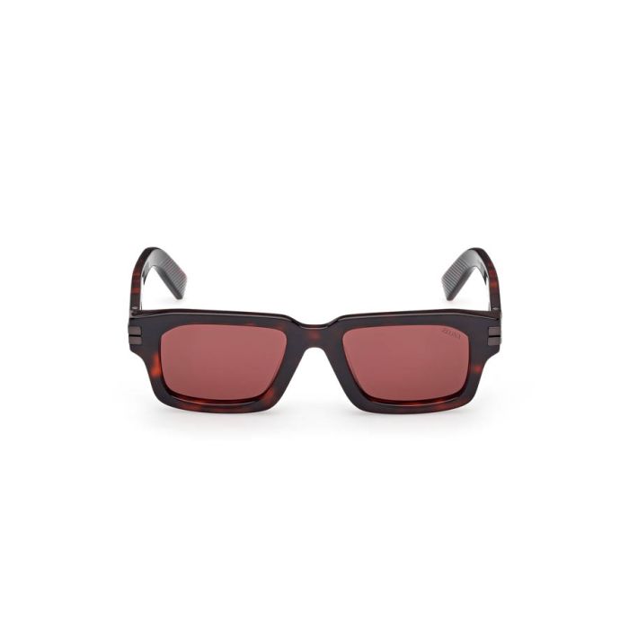ERMENEGILDO ZEGNA EZ0255 54S ERMENEGILDO ZEGNA EZ0255 54S