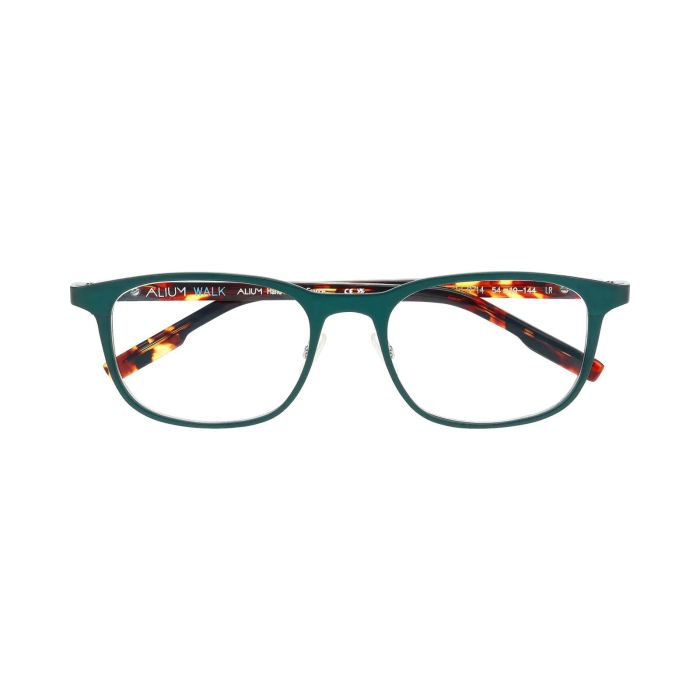 FACE A FACE ALIUM WALK 2 9714