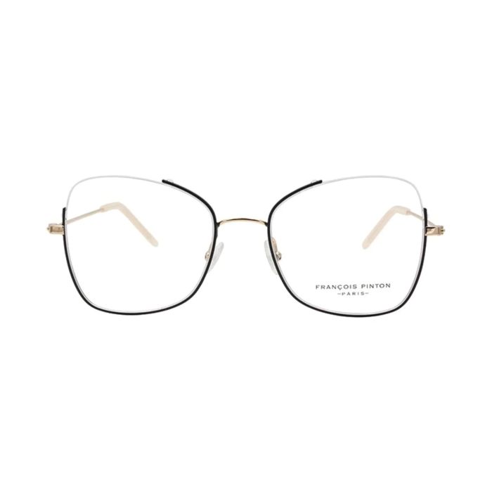 FRANÇOIS PINTON FPAIR12 NE