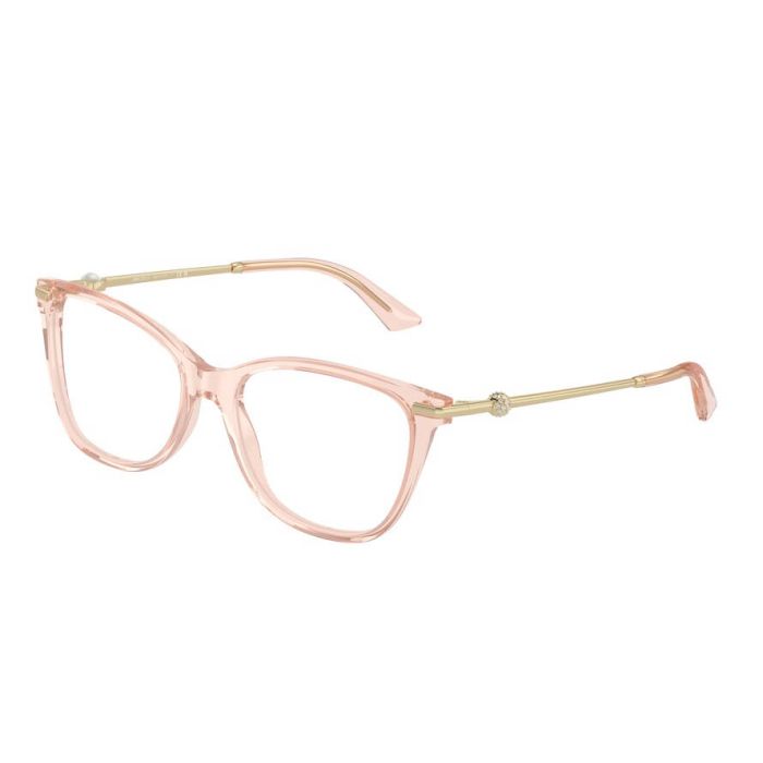 JIMMY CHOO JC3007HB 5034