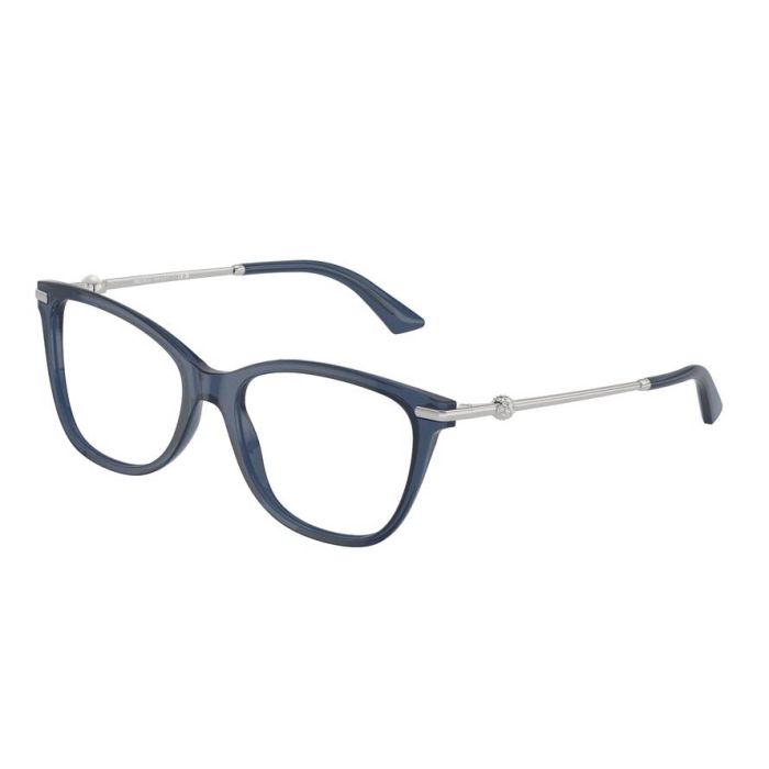 JIMMY CHOO JC3007HB 5035