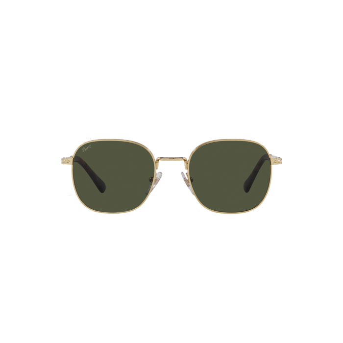 PERSOL PO1009S 515/31