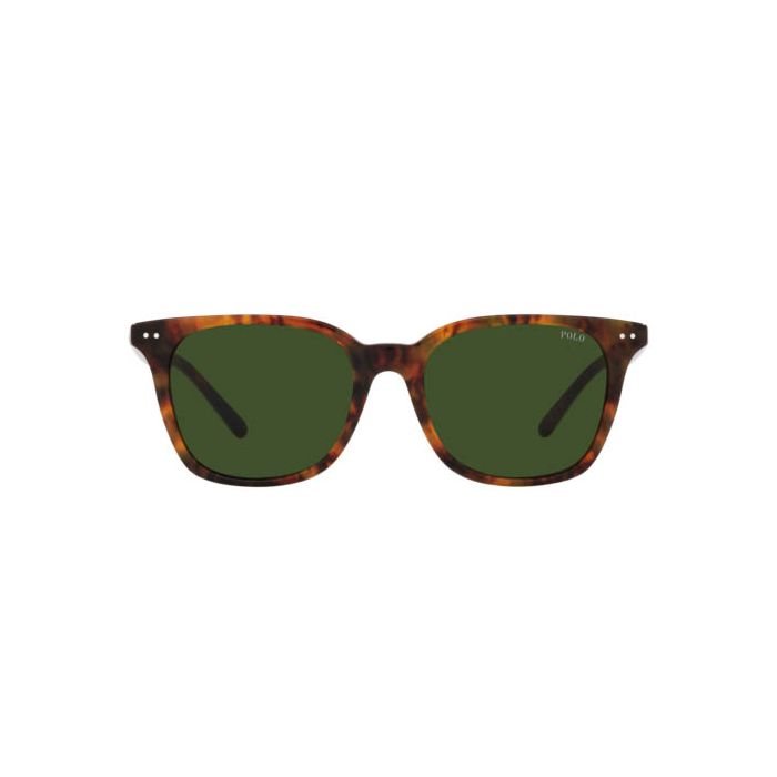 POLO RALPH LAUREN PH4187 501771
