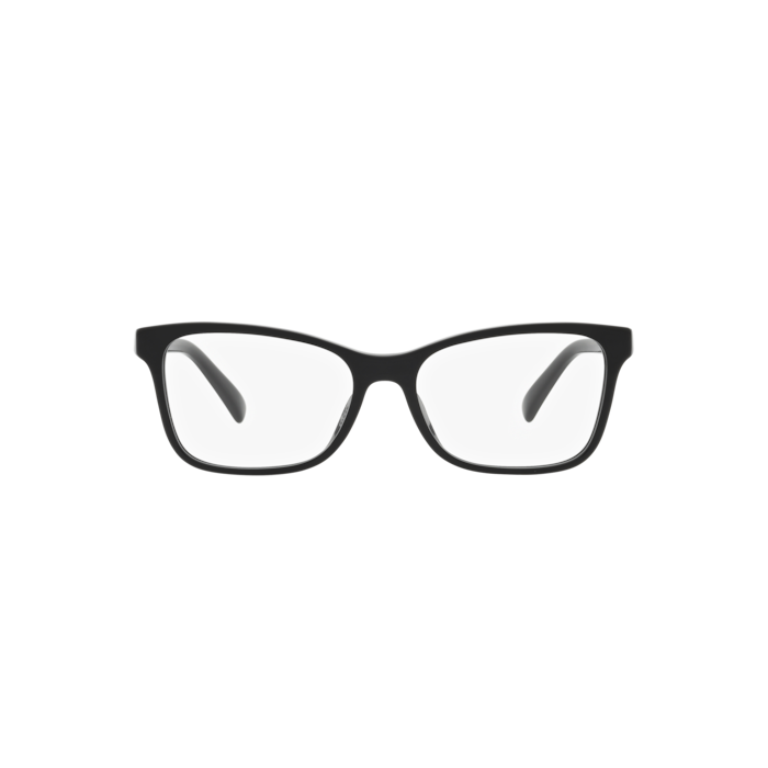 RALPH LAUREN RL6233U 5001