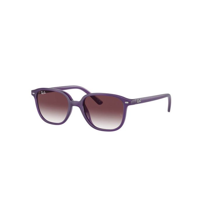 RAY-BAN Junior JUNIOR LEONARD RJ9093S 713136