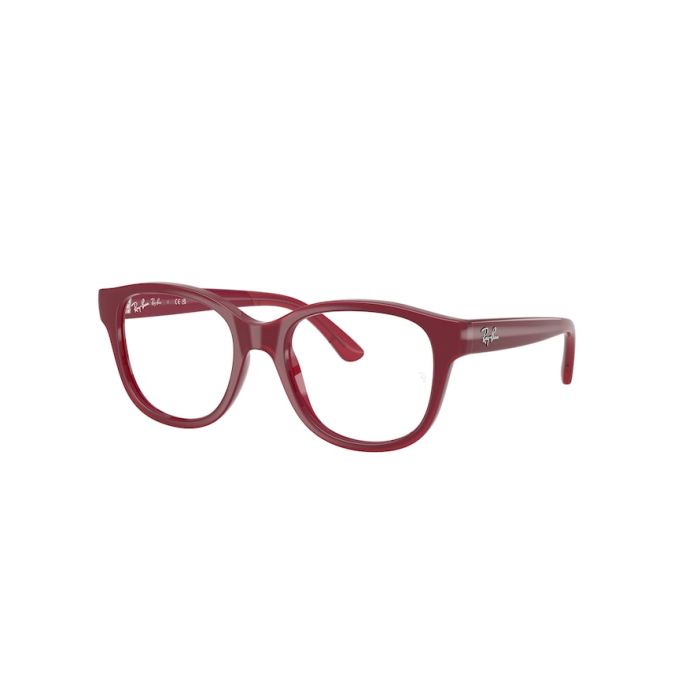 RAY-BAN Junior RY1950 7207