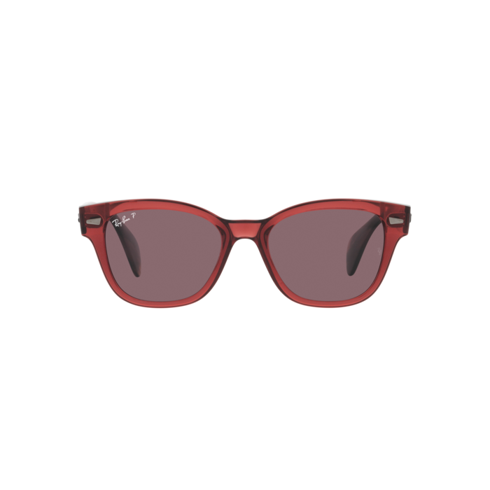 RAY-BAN RB0880S 6639AF