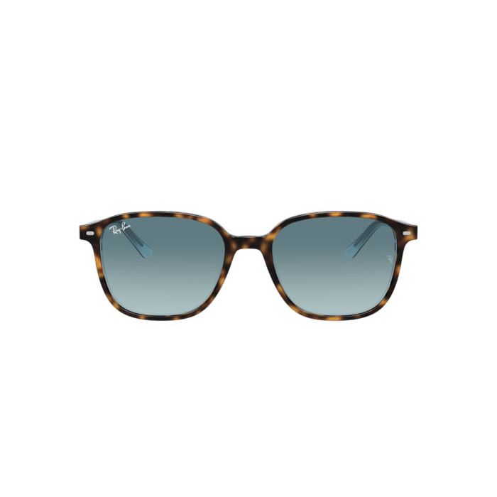 RAY-BAN LEONARD RB2193 13163M