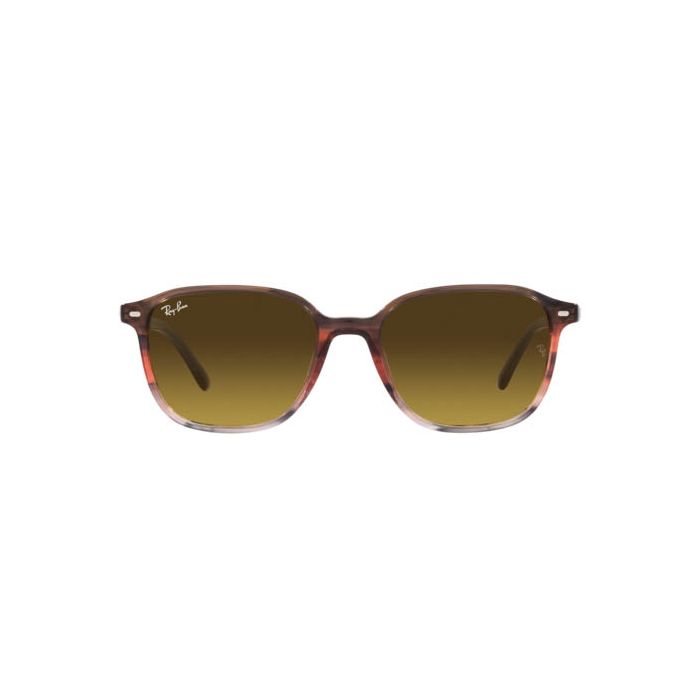 RAY-BAN LEONARD RB2193 138085