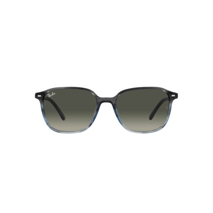 RAY-BAN LEONARD RB2193 138171