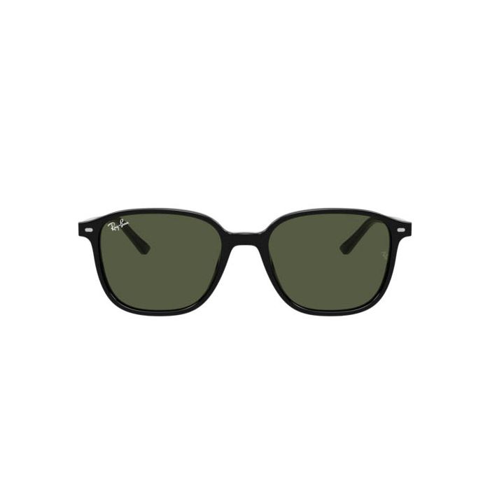 RAY-BAN LEONARD RB2193 901/31