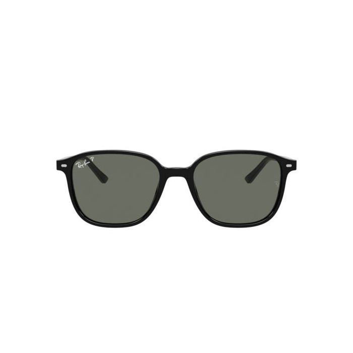 RAY-BAN LEONARD RB2193 901/58