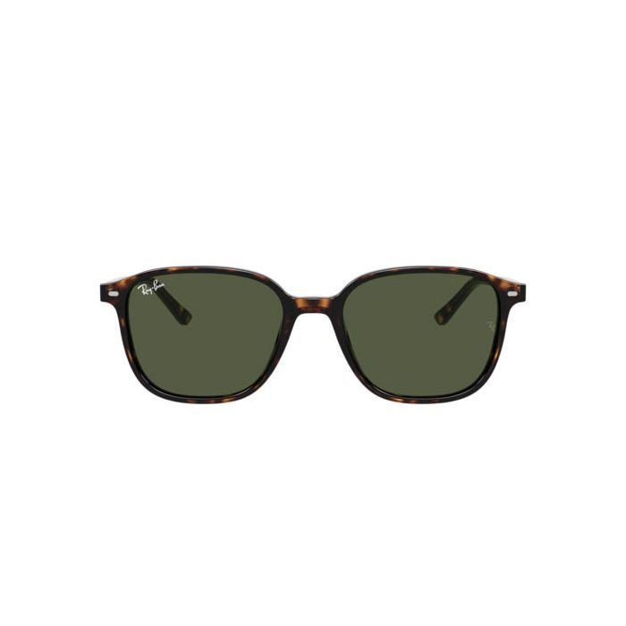 RAY-BAN LEONARD RB2193 902/31