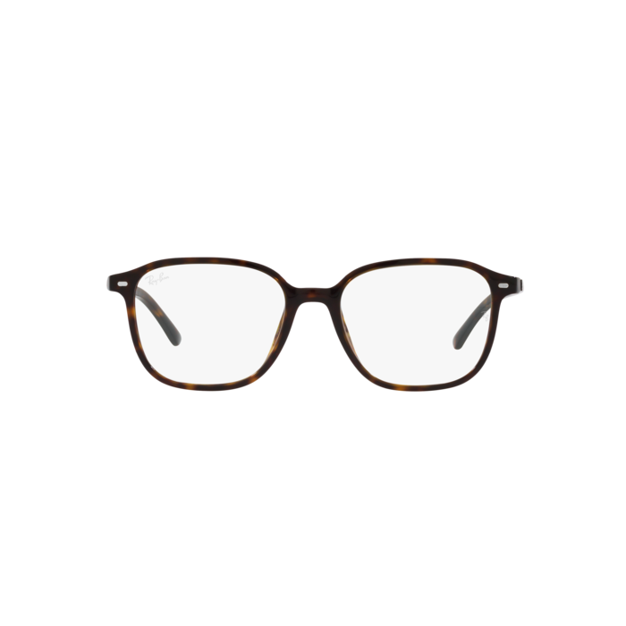 RAY-BAN LEONARD RB2193 902/GH