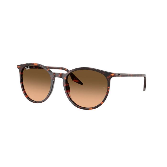 RAY-BAN RB2204 14293B