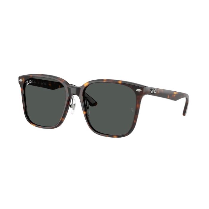 RAY-BAN RB2206D 710/87