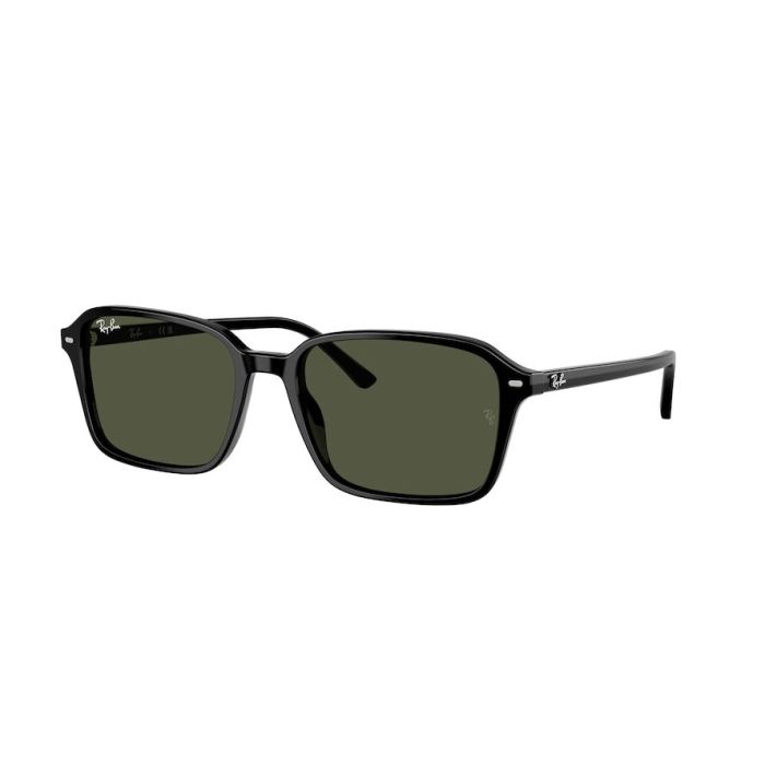 RAY-BAN RAIMOND RB2231 901/31
