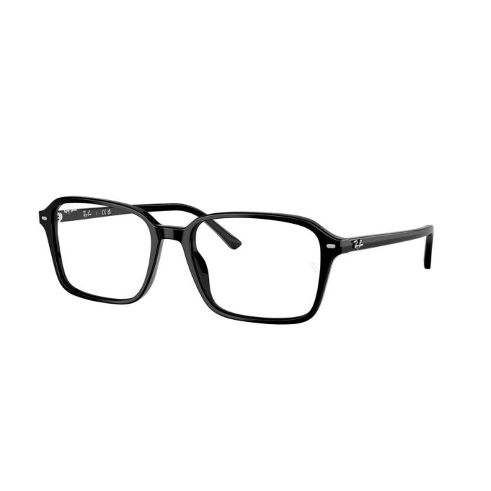 RAY-BAN RAIMOND RB2231 901/GG