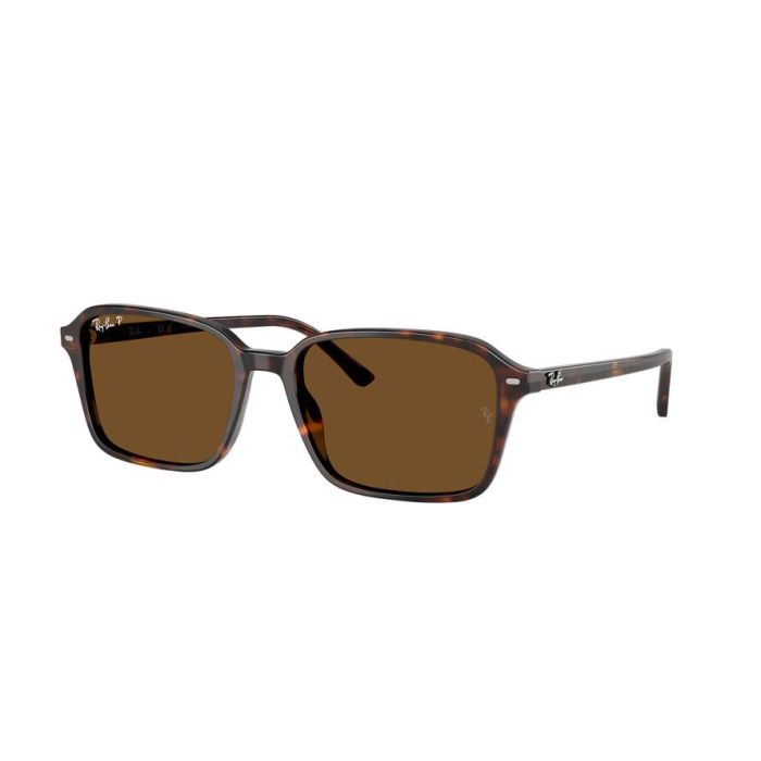 RAY-BAN RAIMOND RB2231 902/57