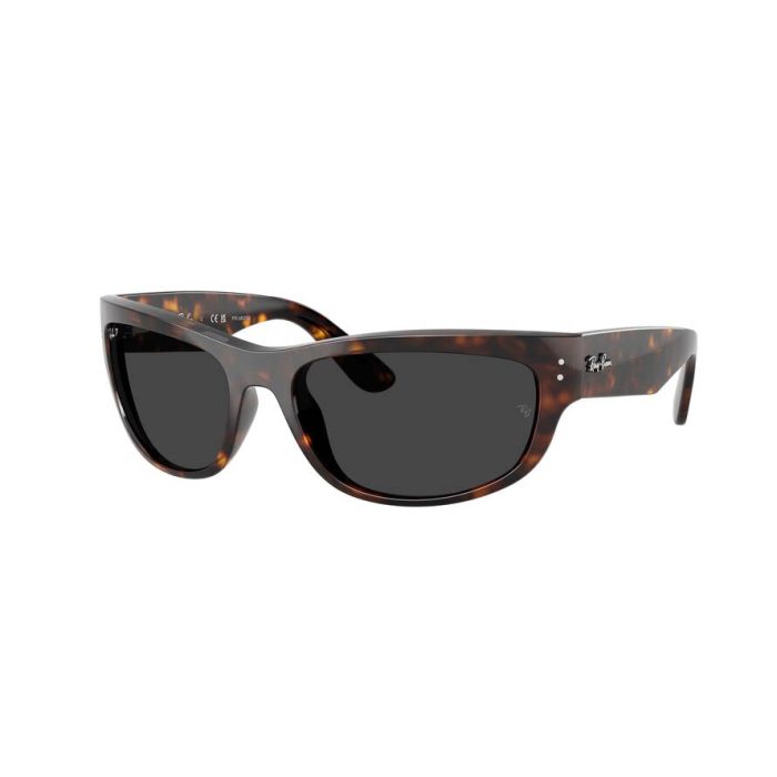 RAY-BAN MEGA BALORAMA RB2289 902/48