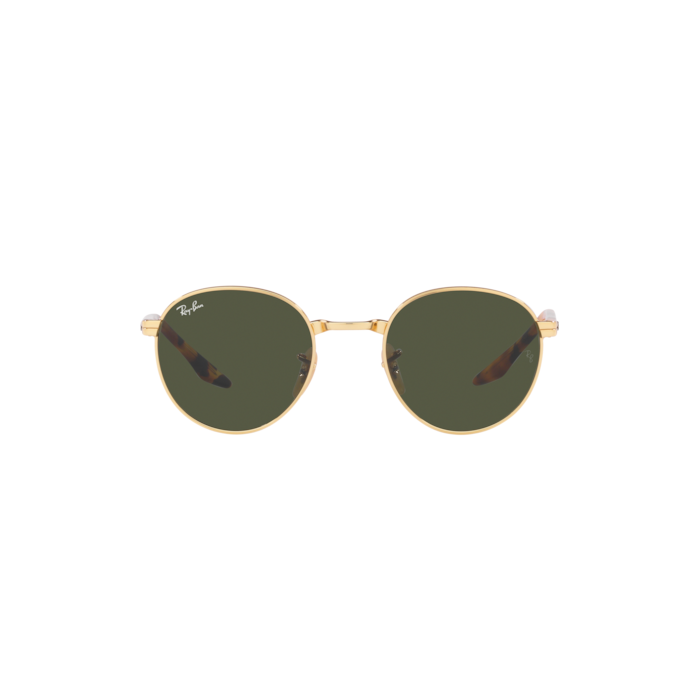 RAY-BAN RB3691 001/31