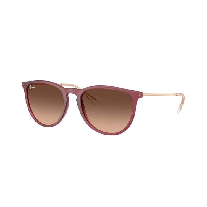 RAY-BAN ERIKA RB4171 6815A5