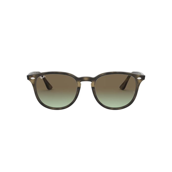 RAY-BAN RB4259 731/E8