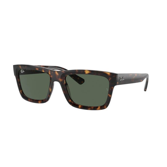 RAY-BAN WARREN RB4396 135971