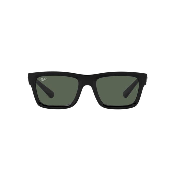 RAY-BAN WARREN RB4396 667771