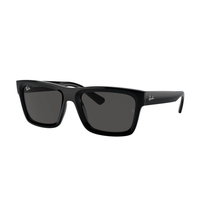 RAY-BAN WARREN RB4396 667787
