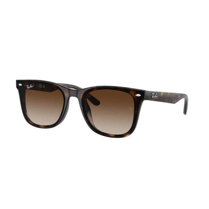 RAY-BAN RB4420 710/13