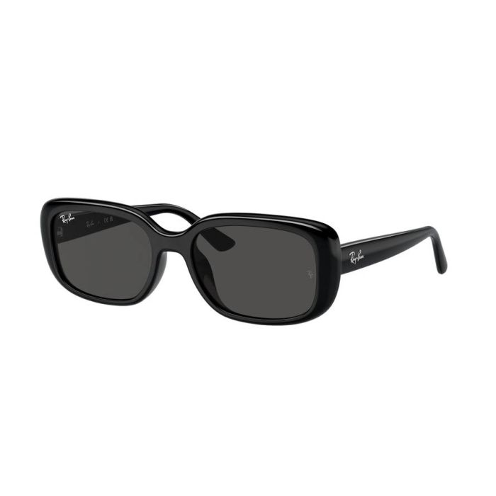 RAY-BAN RB4421D 667787