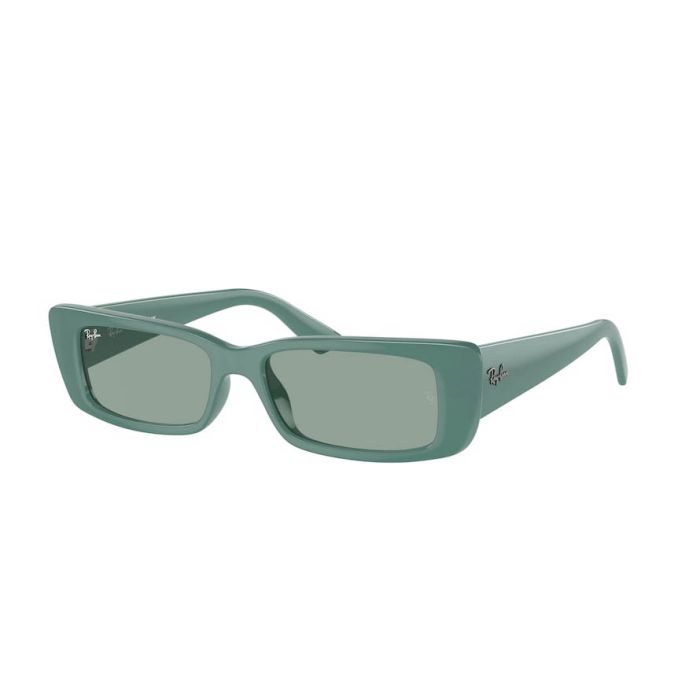 RAY-BAN TERU RB4425 676282
