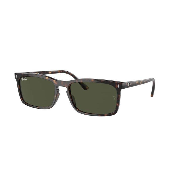 RAY-BAN RB4435 902/31