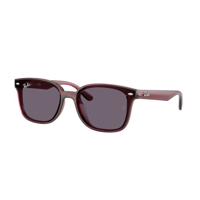 RAY-BAN RB4461D 659373 RAY-BAN RB4461D 659373