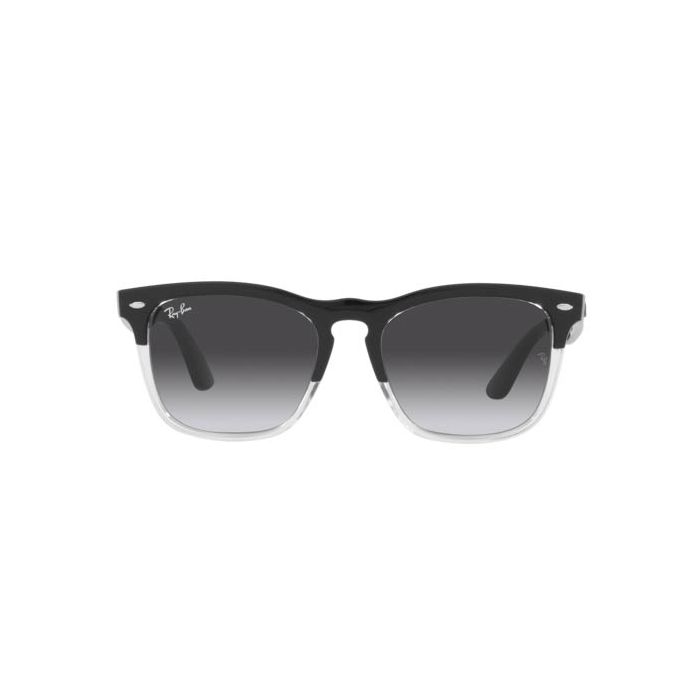 RAY-BAN STEVE RB4487 66308G