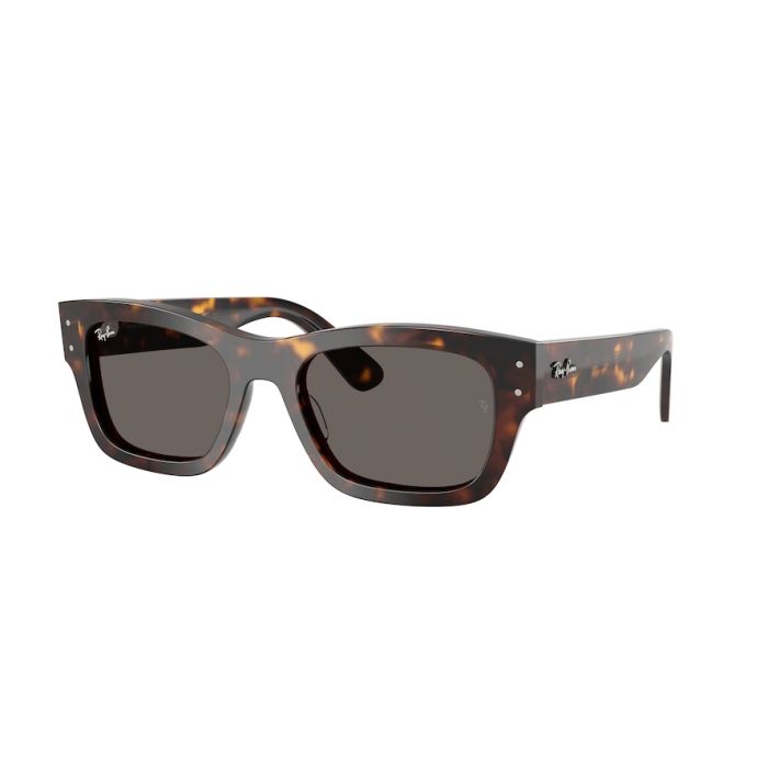 RAY-BAN JOSEPH RB7683S 902/B1
