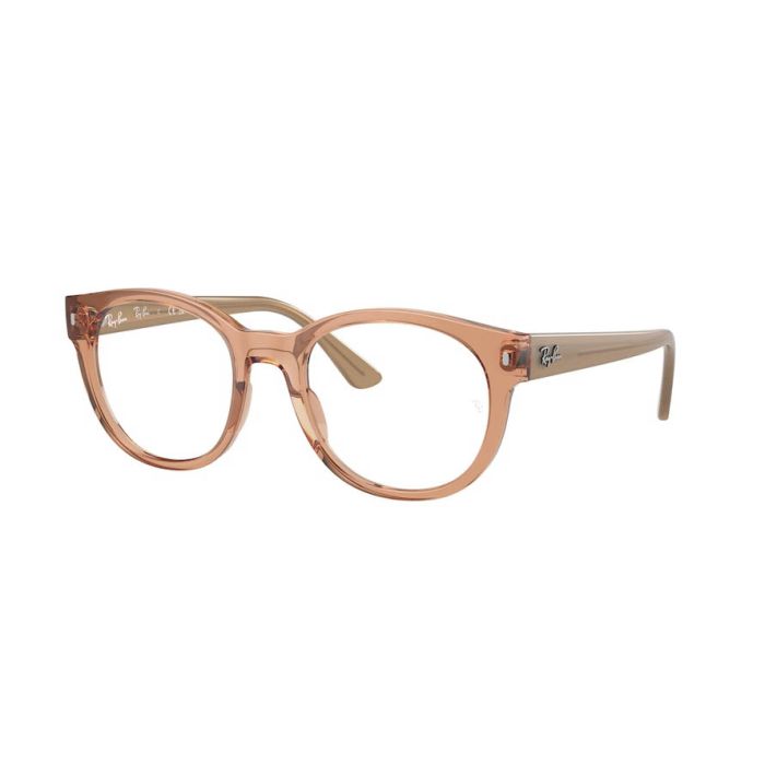 RAY-BAN RX7227 8313