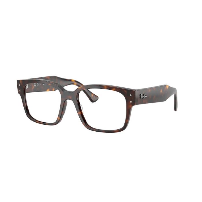 RAY-BAN LAURENE RX7256 8320